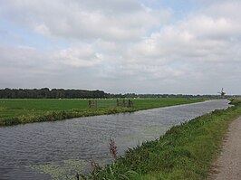 Zuidwijkse polder met links het bosgebied van Huis Zuidwijk en rechts de molen