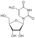 Νέα εικόνα SVG