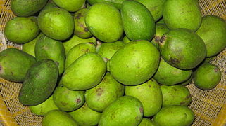Πράσινα μάνγκο στο Μπανγκλαντές.
