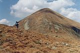 Hoverla hegycsúcsa