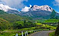 Landschaft bei Munnar, Kerala