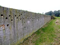 Nestwand voor oeverzwaluwen.