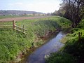 Typical habitat for water voles