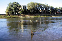 A török hódoltság korabeli fahíd cölöpzetének maradványai 2008 augusztusában a Zagyva-torkolattal szemben.