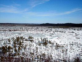 Nationaal park Torronsuo