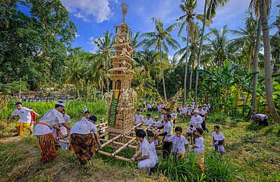 Upacara adat usaba dangsil di desa Kertha Mandala Abang, Karangasem, Bali, yang dilaksanakan dua tahun sekali. Warga desa mengusung dangsil, yaitu hiasan bambu berisi persembahan melewati persawahan menuju pura desa.