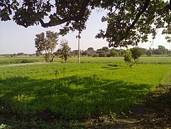 A farm in the village