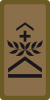 OR-5b - Sergeant first class