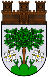 Baumholder címere