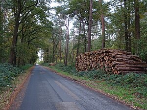 Elsepaßweg