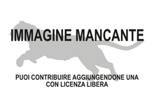 Immagine di Adelphailurus kansensis mancante