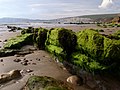 Shore at the southern end of Compton Bay