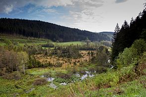 Blick auf den Ursee vom Aussichtspunkt des Urseerundweg