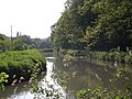 Wiener Neustädter Kanal bei Leobersdorf