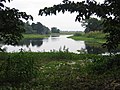 Brahmaputra nell'isola di Majuli, in Assam