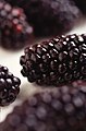 'Black Butte' blackberry, a bramble fruit of aggregated drupelets