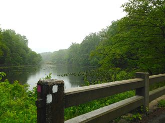 Lake Surprise, viewed from WR Tracy Drive