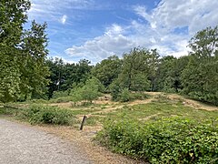 Die Süd- und Westseite des Sandberges sind von Wald gesäumt