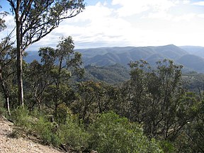 Blick auf den Park vom Wollondilly Lookout