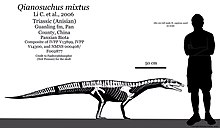 Qianosuchus mixtus skeletal