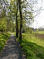 Jean-Paul-Weg in Schwarzenbach an der Saale