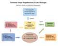 Vorschaubild der Version vom 11:30, 23. Nov. 2020