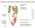 Vorschaubild der Version vom 21:04, 26. Mai 2021