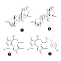 Vorschaubild der Version vom 10:16, 15. Mär. 2006