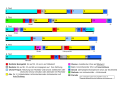 Vorschaubild der Version vom 16:19, 28. Mai 2012