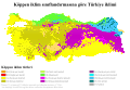 20.24, 22 Mayıs 2021 tarihindeki sürümün küçültülmüş hâli