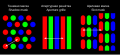 Miniatura della versione delle 07:41, 23 mag 2008