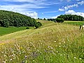 Vorschaubild der Version vom 20:10, 27. Jun. 2022