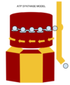 How to Make an ATP Synthase Model [1]