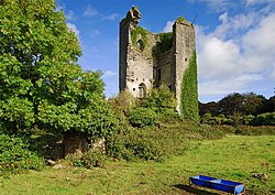 Kilkishen Castle