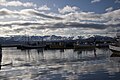 Schiffe im Hafen von Húsavík (9. Juli bis 9. August)