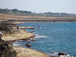 Fishermen in Latakia