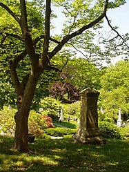 Der Friedhof im Jahr 2005