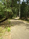 Peninsula Crossing Trail at Fessenden St.