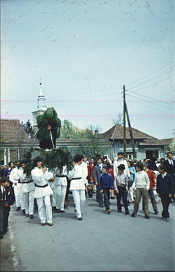 A plugarul nevű ünnep 1978 húsvétján