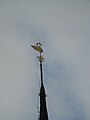 Turmspitze der Kirche in Svaneke (Bornholm / Dänemark)[13]