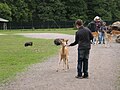 Im Tierpark Essehof