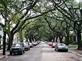 Straße in New Orleans