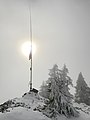 Vertical Dipole in fog