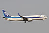 All Nippon Airways Boeing 737