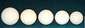 Cue balls from (left to right): Russian pool (68 mm [211⁄16 in]), carom (61.5 mm [27⁄16 in]), American-style pool (57 mm [21⁄4 in]), British-style pool (56 mm [23⁄16 in]), and snooker (54 mm [21⁄8 in]). Not shown: scaled-down pool balls for children's smaller tables; common sizes are 51 mm (2 in) and 28 mm (11⁄8 in).