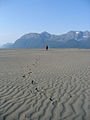 Dune di sabbia sul delta del fiume.