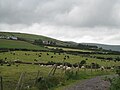 Dingle, Ireland