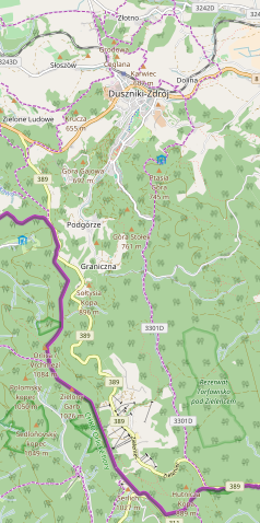 Mapa konturowa Dusznik-Zdroju, na dole znajduje się punkt z opisem „Zieleniec”