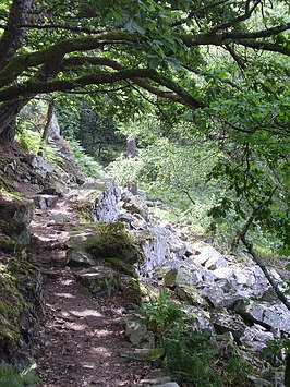 Gorges de Villiers