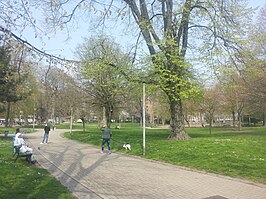 Zicht op het park